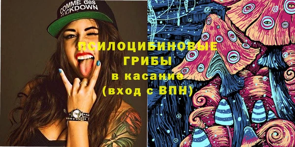 МДПВ Алексеевка