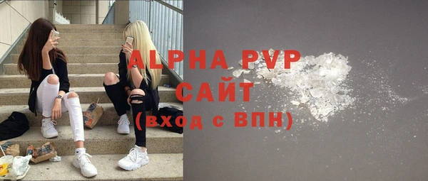 шишки Абаза
